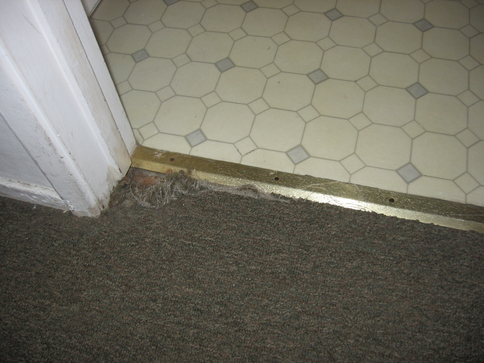What Is Normal Wear and Tear on Carpet?